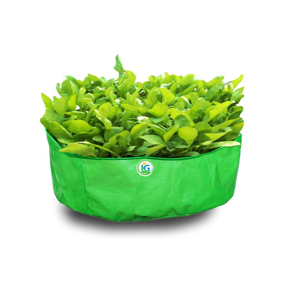 Plant Grow Bag, Large Heavy Duty Fabric Grow Pot for Durable Breathe Cloth  Planting Container for Potato Carrot Onion, Gardening Outdoor (Dia: 24” x  H: 8” / 15 Gallon),F125361 - Walmart.com