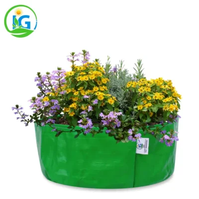 15x6 inch HDPE grow bag