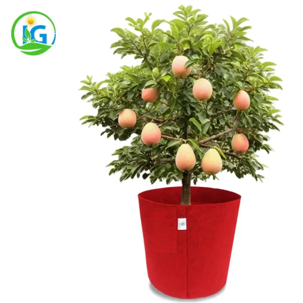 15x15 Inch Red Geo Fabric Grow Bag – 450 GSM, Breathable & UV Treated - Image 3