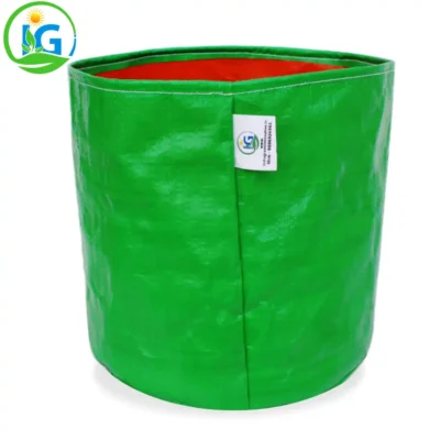 10x10 inch HDPE grow bag