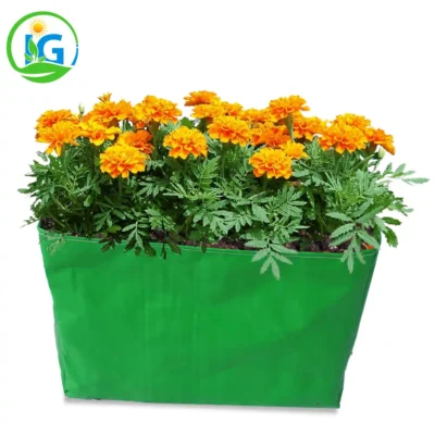 18x12x12 inch HDPE grow bag