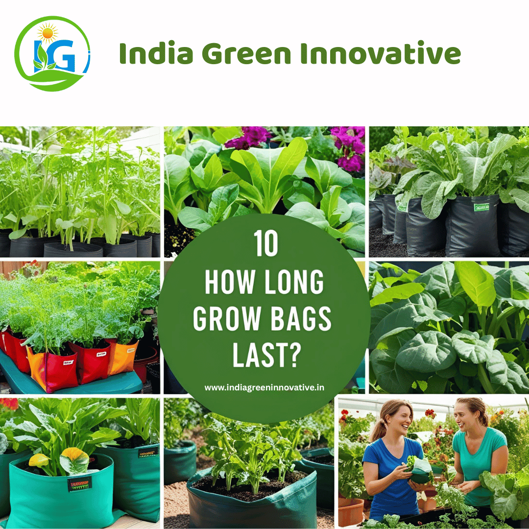how long grow bags last