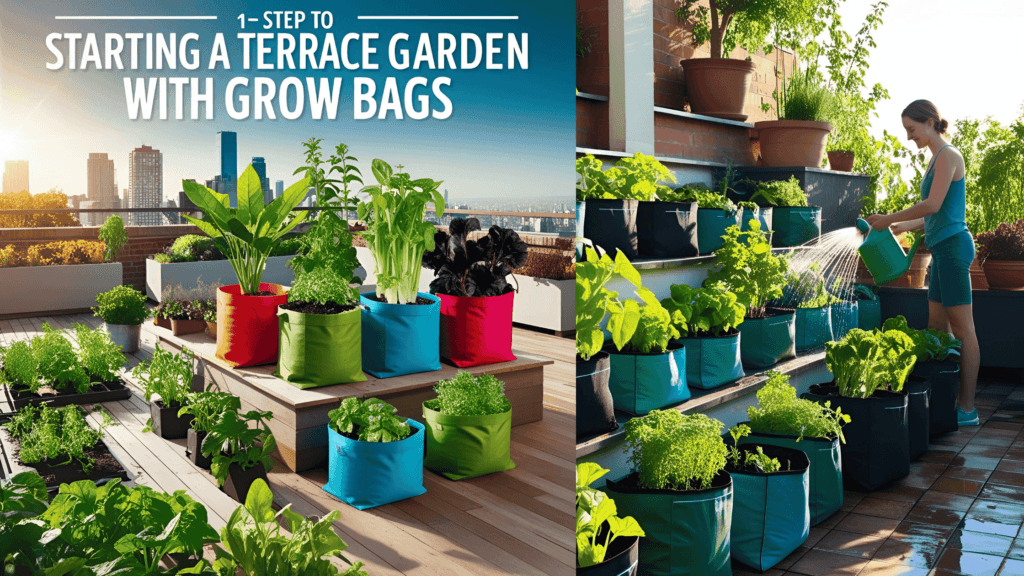 How to Start a Terrace Garden with Grow Bags?