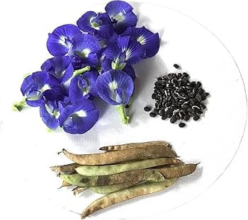 aparajita flower seeds