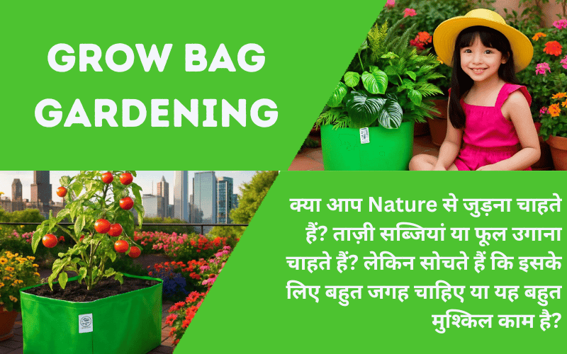 Grow Bag Gardening: How to Get Started Easily