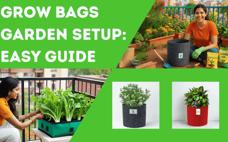 Grow Bags Garden Setup for Urban Spaces