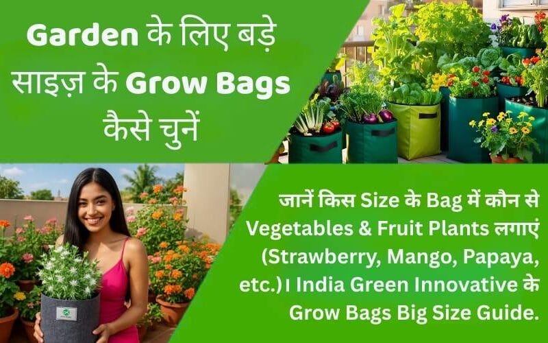 How to Choose Grow Bags Big Size for Your Garden