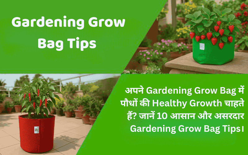 Gardening Grow Bag Tips for Healthy Plant Growth