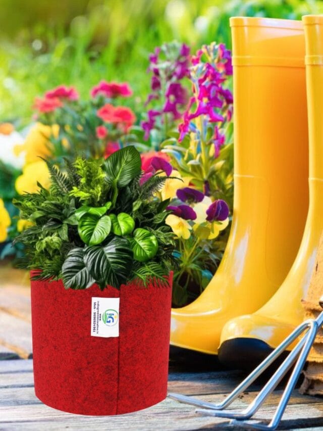 Choose the Right Grow Bag