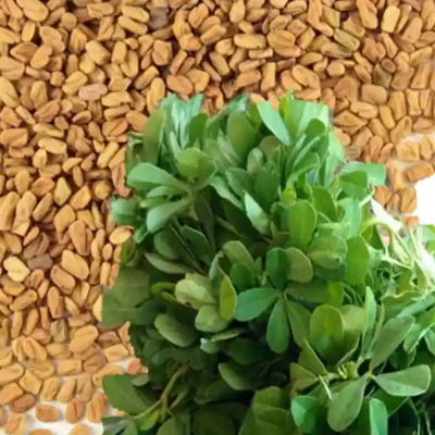 Kasuri Methi Seeds