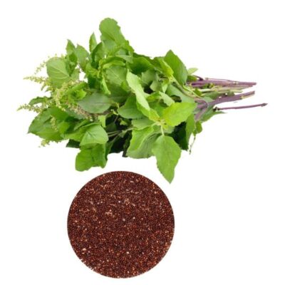 Tulsi Seeds