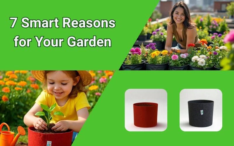 Vegetable Growing Bags: 7 Smart Reasons for Your Garden