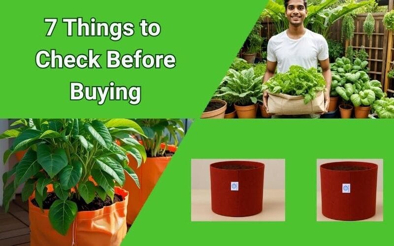 Grow Bag Buying Guide: 7 Things to Check Before Buying