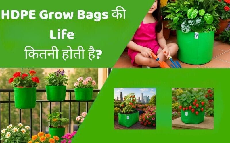 HDPE Grow Bags की Life कितनी होती है? जानें सच्चाई और टिप्स