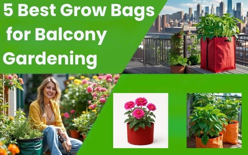  5 Best Grow Bags for Balcony Gardening | Space-Saving Tips