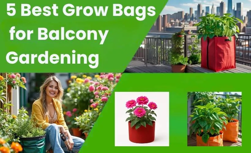 Grow Bags in Pune