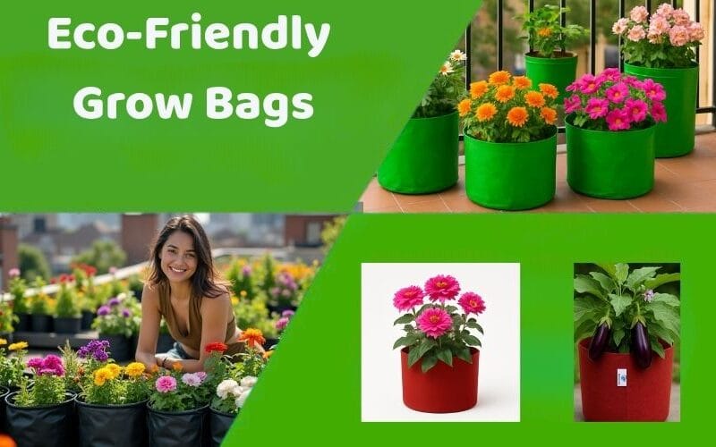 Eco-Friendly Grow Bags That Last Long – Shop Now!