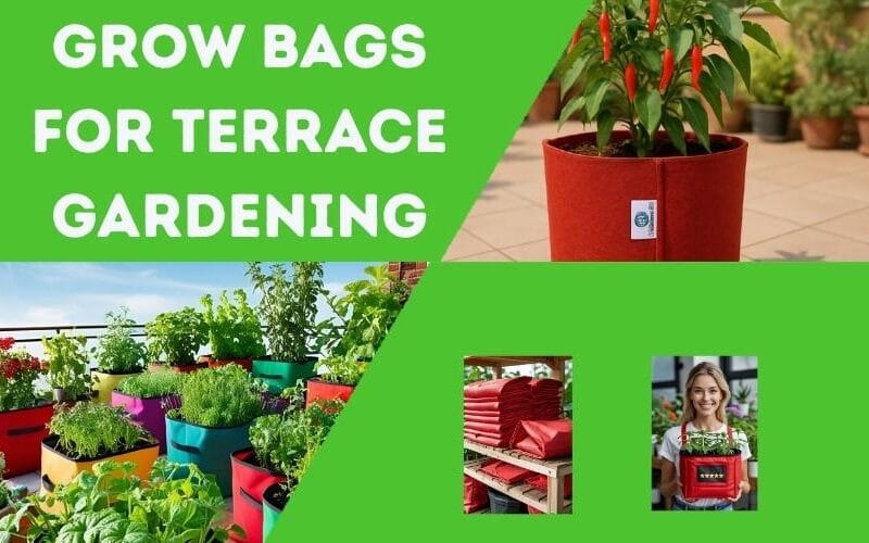 Grow Bags for Terrace Gardening | Best Options & Setup Tips