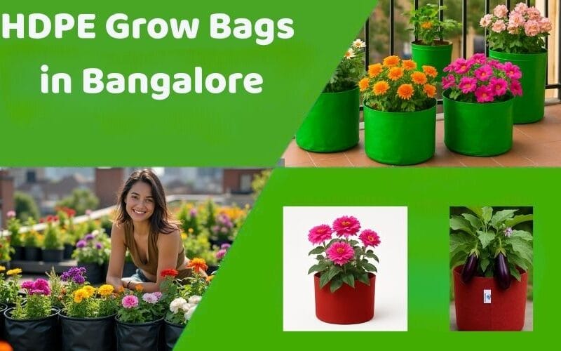 Why Bangalore Gardeners Prefer HDPE Grow Bags for Terrace Gardening