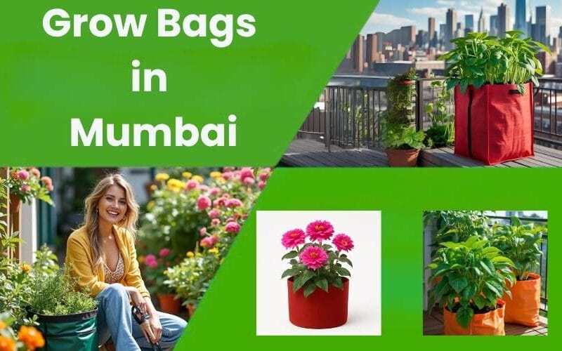 Top Grow Bag Trends in Mumbai: Urban Gardening Made Easy