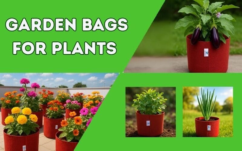 Garden Bags for Plants: 5 Tips में पाएं Perfect Bag!