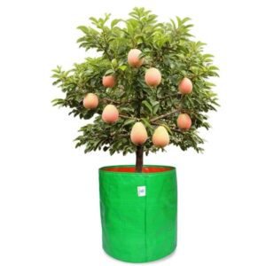 15x15 inch hdpe grow bag