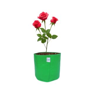 9x9 inch HDPE grow bag