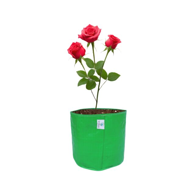 HDPE Grow Bag 9×9 Inch | 260 GSM | UV Protected