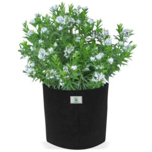 geo fabric grow bag 8x8 inch