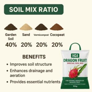Dragon Fruit Special Soil Mix – 5kg, 10kg, 20kg | IGI Premium Fertile Growing Media