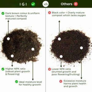 Premium Vermicompost 5 Kg – 100% Organic Fertilizer for Healthy Plant Growth