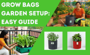 Terrace Garden with Grow Bags