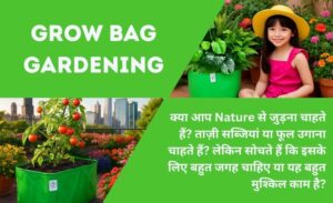 Vegetables to Grow in Grow Bags
