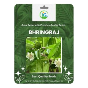 Bhringraj Seeds (50pcs Pack) for Hair Care & Home Gardening