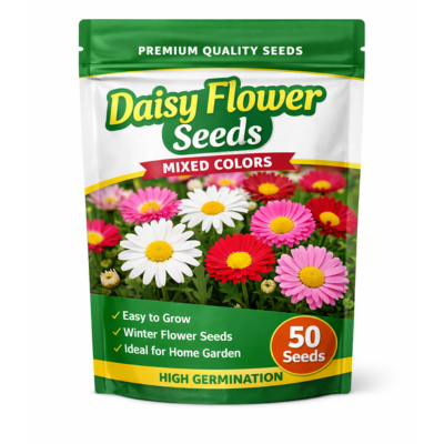 Daisy Flower Seeds (Mixed Color) – Winter Flower Seeds for Home Garden - Image 2