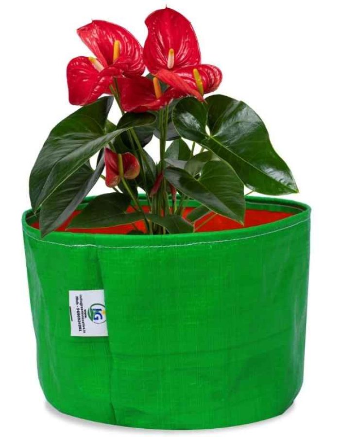 Durable 10×6 Inch HDPE Grow Bag | 240 GSM | UV Protected for Terrace & Kitchen Gardening