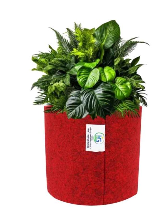 Geo Fabric Grow Bag 6×6 Inch | 450 GSM | Premium Breathable Planter for Herbs & Small Plants