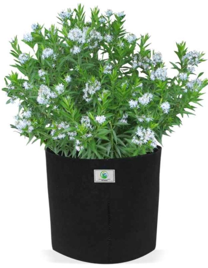Geo Fabric Grow Bag 8×8 Inch | 450 GSM | Breathable Planter for Herbs, Flowers & Vegetables – Red, Black, Grey