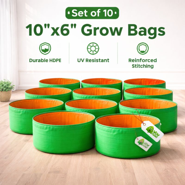 Grow Bags and Seeds (30)