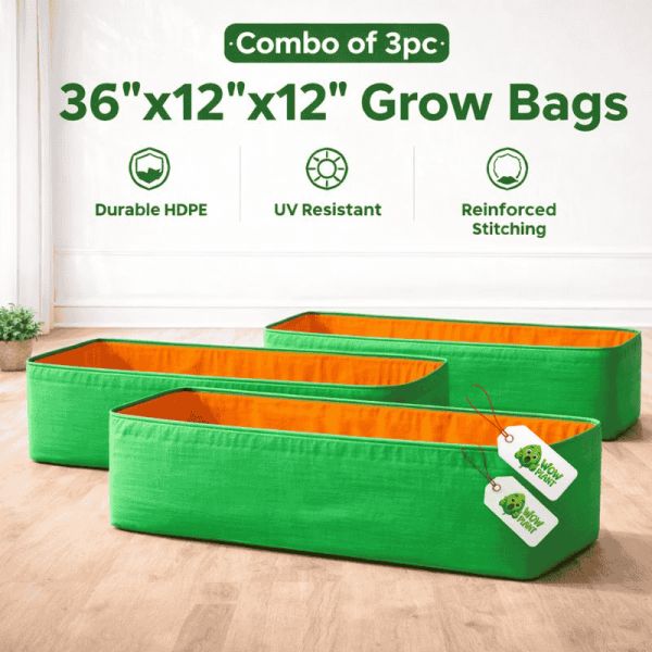 Grow Bags and Seeds (31)