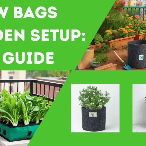 Terrace Garden with Grow Bags