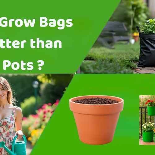 Grow Bags Are Better